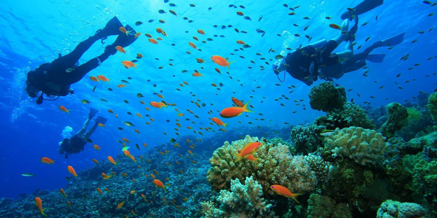 Scuba Diving in Andaman